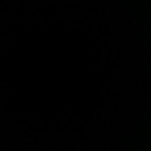 Meet your Posher, Shirley